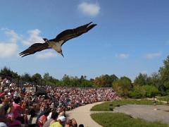 101PARC AUX OISEAUX DANS L AIN 2016 3_000050